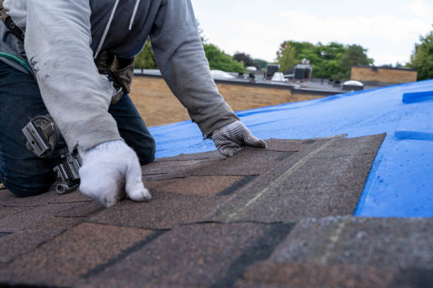 Best Roof Gutter Cleaning  in Cloverly, MD